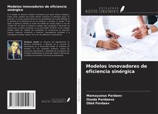 Bookcover of Modelos innovadores de eficiencia sinérgica
