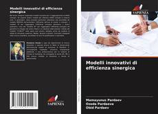 Обложка Modelli innovativi di efficienza sinergica