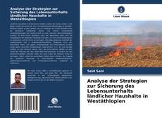 Buchcover von Analyse der Strategien zur Sicherung des Lebensunterhalts ländlicher Haushalte in Westäthiopien