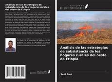 Buchcover von Análisis de las estrategias de subsistencia de los hogares rurales del oeste de Etiopía