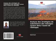 Bookcover of Analyse des stratégies de subsistance des ménages ruraux dans l'ouest de l'Éthiopie