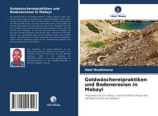 Borítókép a  Goldwäschereipraktiken und Bodenerosion in Mabayi - hoz