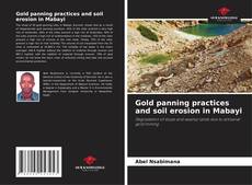 Buchcover von Gold panning practices and soil erosion in Mabayi