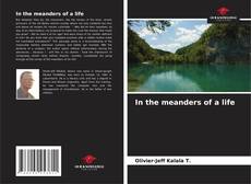 Buchcover von In the meanders of a life