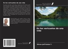 Bookcover of En los vericuetos de una vida