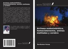Buchcover von Archaea endosimbiótica, homocisteinemia, aminas metiladas y cerebro