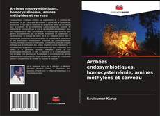 Bookcover of Archées endosymbiotiques, homocystéinémie, amines méthylées et cerveau
