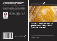 Estudios bioquímicos en genotipos de trigo duro Triticum durum L. kitap kapağı