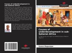 Buchcover von Causes of underdevelopment in sub-Saharan Africa