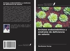 Bookcover of Archaea endosimbiótica y síndrome de deficiencia de selenio