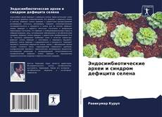 Bookcover of Эндосимбиотические археи и синдром дефицита селена