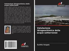 Bookcover of Valutazione idrogeochimica delle acque sotterranee