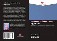 Bookcover of Maladies chez les anciens Égyptiens