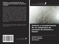 Bookcover of Síntesis y caracterización de un compuesto de escamas de aluminio y titanio