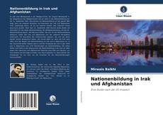 Nationenbildung in Irak und Afghanistan kitap kapağı
