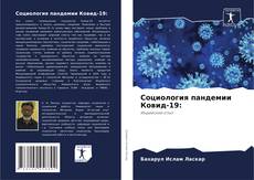 Bookcover of Социология пандемии Ковид-19: