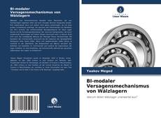 BI-modaler Versagensmechanismus von Wälzlagern kitap kapağı