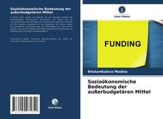 Bookcover of Sozioökonomische Bedeutung der außerbudgetären Mittel