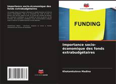 Buchcover von Importance socio-économique des fonds extrabudgétaires
