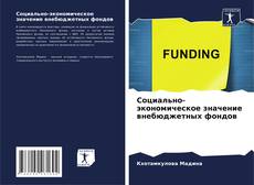 Capa do livro de Социально-экономическое значение внебюджетных фондов 
