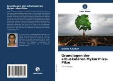 Capa do livro de Grundlagen der arbuskulären Mykorrhiza-Pilze 