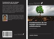 Capa do livro de Fundamentos de los hongos micorrícicos arbusculares 
