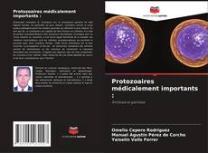 Bookcover of Protozoaires médicalement importants :