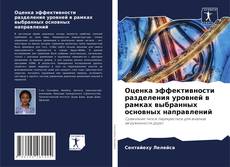 Bookcover of Оценка эффективности разделения уровней в рамках выбранных основных направлений