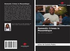 Buchcover von Domestic Crimes in Mozambique