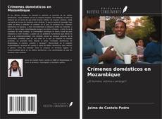 Crímenes domésticos en Mozambique kitap kapağı