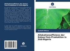 Copertina di Allokationseffizienz der Kakao-Yam-Produktion in Süd-Nigeria