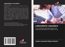 Bookcover of Laboratorio vascolare