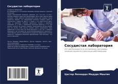 Bookcover of Сосудистая лаборатория