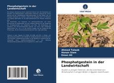 Phosphatgestein in der Landwirtschaft kitap kapağı