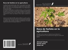 Buchcover von Roca de fosfato en la agricultura
