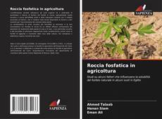 Buchcover von Roccia fosfatica in agricoltura