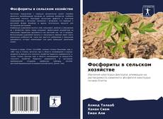 Фосфориты в сельском хозяйстве kitap kapağı
