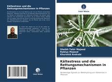 Couverture de Kältestress und die Rettungsmechanismen in Pflanzen