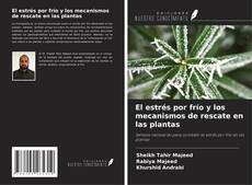 Buchcover von El estrés por frío y los mecanismos de rescate en las plantas