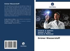 Bookcover of Grüner Wasserstoff