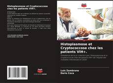 Bookcover of Histoplasmose et Cryptococcose chez les patients VIH+.
