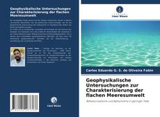 Geophysikalische Untersuchungen zur Charakterisierung der flachen Meeresumwelt kitap kapağı