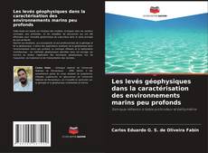 Capa do livro de Les levés géophysiques dans la caractérisation des environnements marins peu profonds 