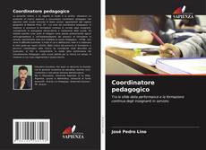 Coordinatore pedagogico kitap kapağı
