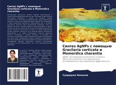 Синтез AgNPs с помощью Gracilaria corticata и Momordica charantia的封面