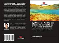 Capa do livro de Synthèse de AgNPs par Gracilaria corticata et Momordica charantia 