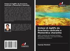 Обложка Sintesi di AgNPs da Gracilaria corticata e Momordica charantia