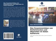 Das Zusammenleben von Einheimischen und Migranten im Osten Kameruns kitap kapağı