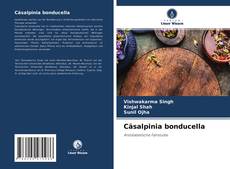 Cäsalpinia bonducella kitap kapağı