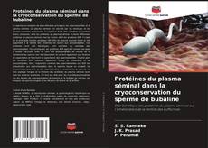 Buchcover von Protéines du plasma séminal dans la cryoconservation du sperme de bubaline